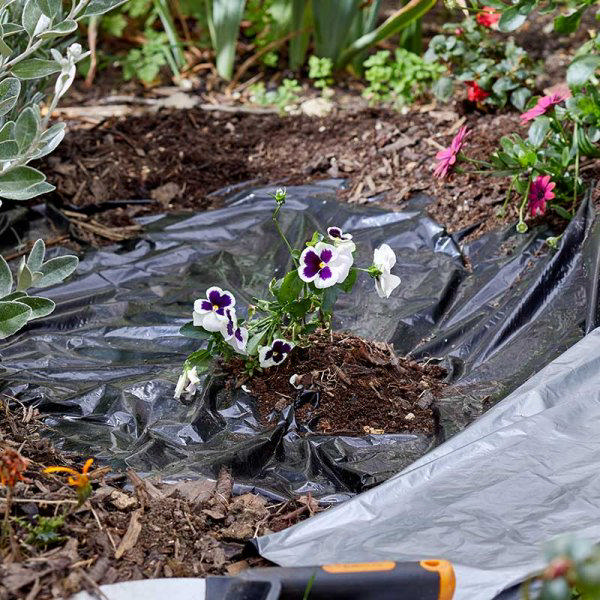 SMART PRO MULCH SHEET 30G 100X1000CM 