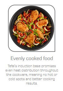 TEFAL MINERALIA FORCE INDUCTION PAN WITH LID 24CM