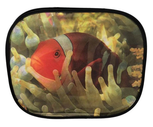 ALL RIDE SUNSHADE STATIC FISH