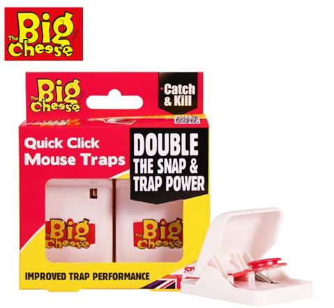 BIG CHEESE 3PCS ΠΟΝΤΙΚΟΠΑΓΙΔΑ 