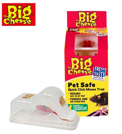 BIG CHEESE ΠΟΝΤΙΚΟΠΑΓΙΔΑ PET SAFE