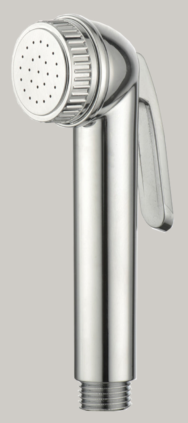 HOFER SHATTAFA HANDSHOWER CHROME