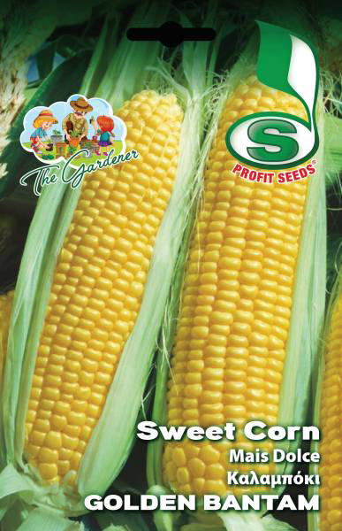 SWEET CORN GOLDEN BANTAM 4.4GR