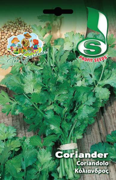 CORIANDER 4GR