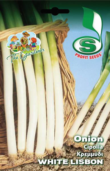 ONION WHITE LISBON 5GR