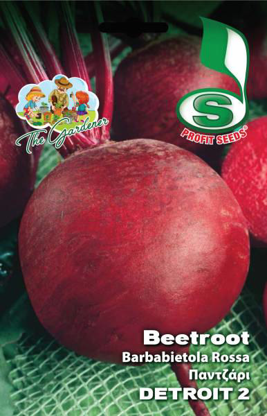 BEETROOT DETROIT 2 17GR