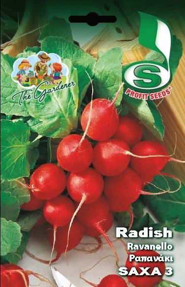 RADISH ROUND SAXA 3 22GR