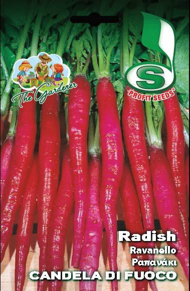 RADISH LNG CANDELA DI FUOCO 22