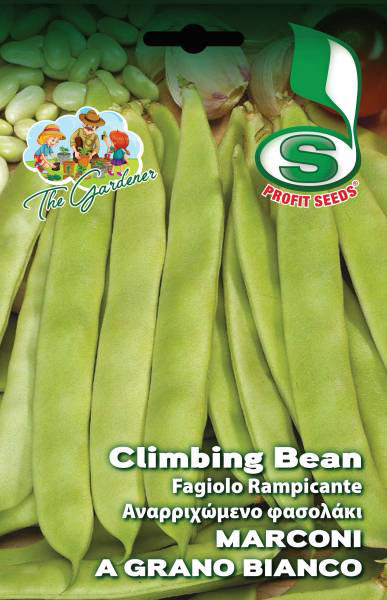  CLIMBING BEAN MARCONI A GRANO 50G