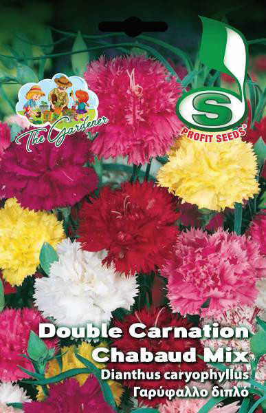 DOUBLE CARNATION CHABAUD MIX 0.8GR