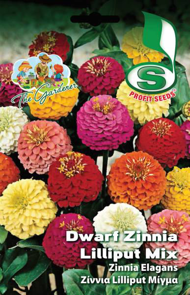 DWARF ZINNIA LILLIPUT MIX 4GR