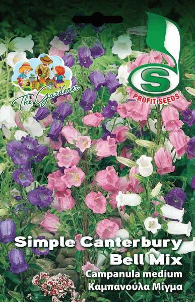 SMPL CANTERBURY BELL MIX 2GR