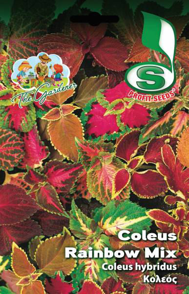 COLEUS RAINBOW MIXED 0,4GR