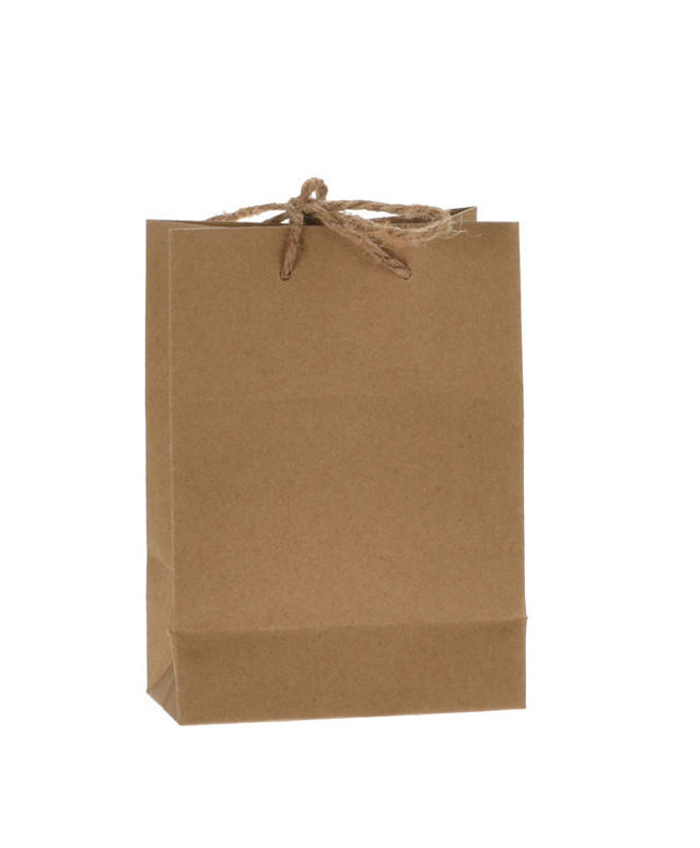 GIFT BAG SMALL UNPRINTED CRAFT