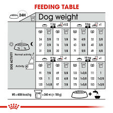 ROYAL CANIN MINI DERMACOMFORT 3KG