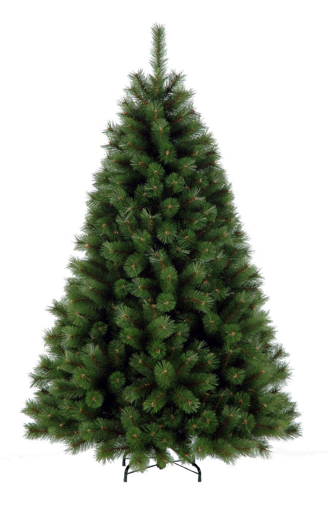 HIGHLAND FIR 1.5M HEIGHT