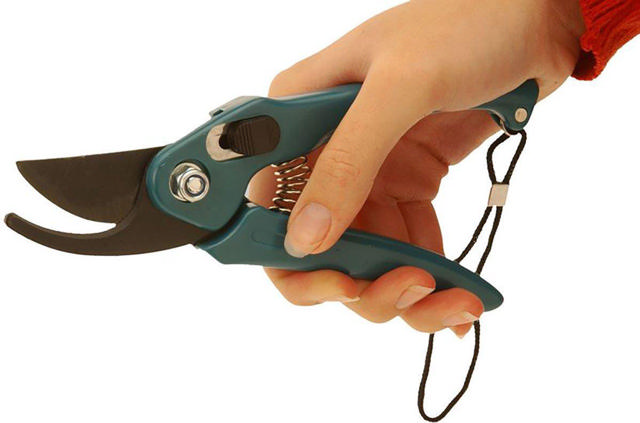 PROGARDEN PRUNNING SHEARS PP HANDLE 18CM