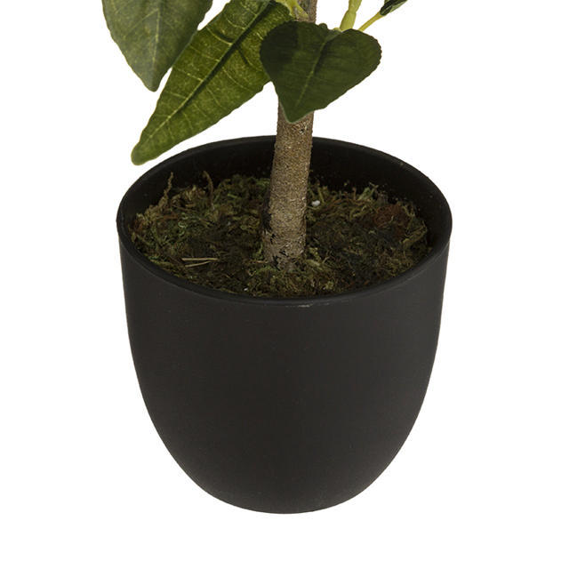 ATMOSHERA 179313 LEMON TREE HEIGHT 43CM