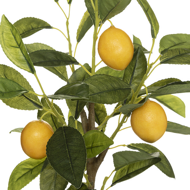 ATMOSHERA 179313 LEMON TREE HEIGHT 43CM