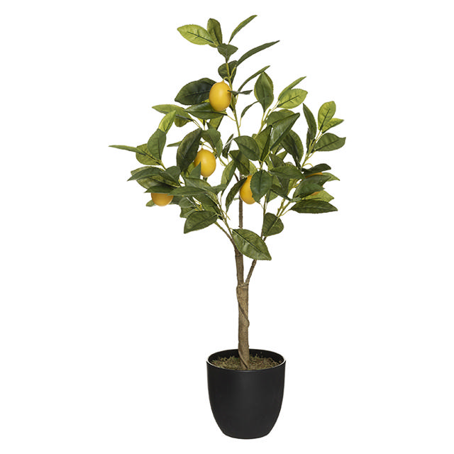 ATMOSHERA 179314 LEMON TREE HEIGHT 70CM