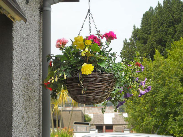 WICKER HANGING BASKET 40CM