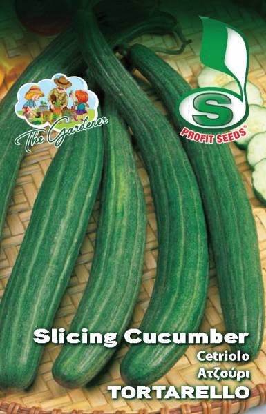 TG TORTARELLO CUCUMBER