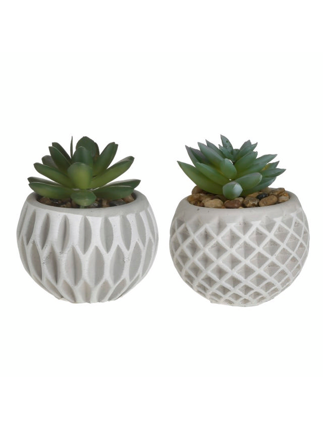 SUCCULENT CEMENT POT D8XH9 2 ASSORTED DESIGNS