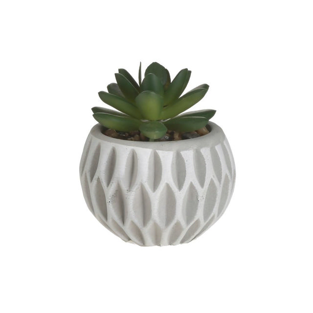 SUCCULENT CEMENT POT D8XH9 2 ASSORTED DESIGNS