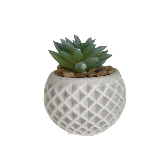 SUCCULENT CEMENT POT D8XH9 2 ASSORTED DESIGNS