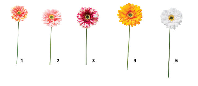 CHRYSANTHEMIM STEM 50CM 5 ASSORTED DESIGNS