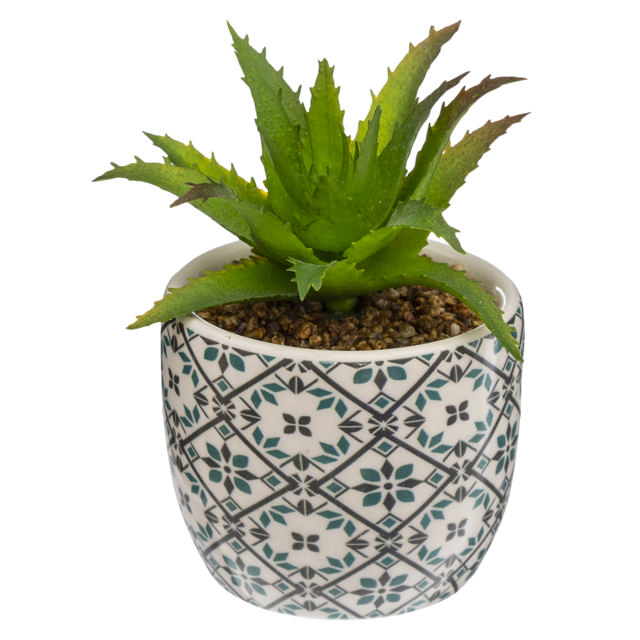 PLANT WITH PRINTED CERAMIC POT D5.5CM 4 ASSORTED DESIGNS