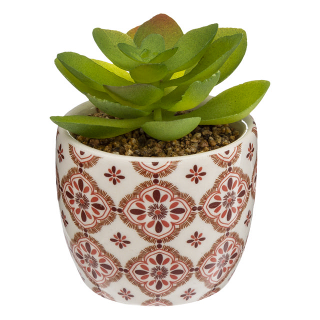 PLANT WITH PRINTED CERAMIC POT D5.5CM 4 ASSORTED DESIGNS