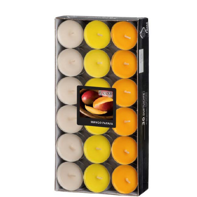 GALA TEALIGHT 36PCS MANGO PAPAYA