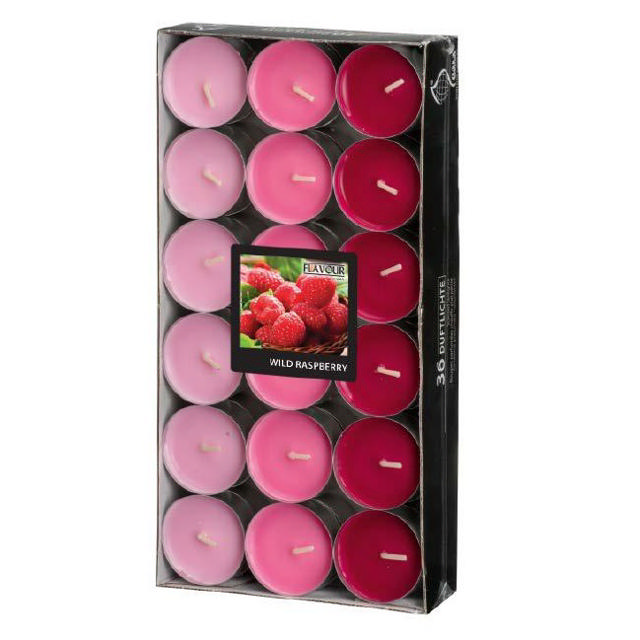 GALA TEALIGHT 36PCS RASPBERRY