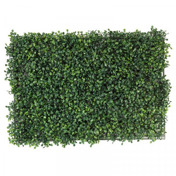 BOXWOOD SCREENING PANEL 60X40CM 