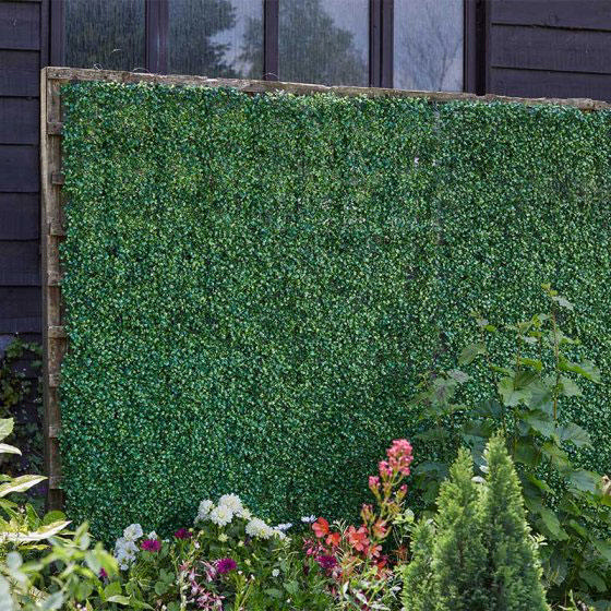 BOXWOOD SCREENING PANEL 60X40CM 