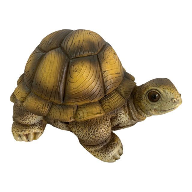 TORTOISE SL10 32X26X17CM