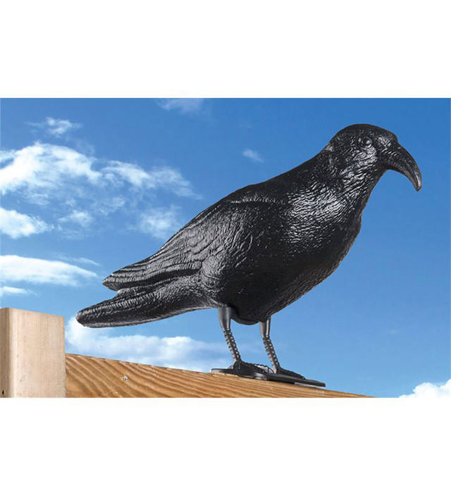 PLASTIC SCARER CROW 42.5X14X23CM