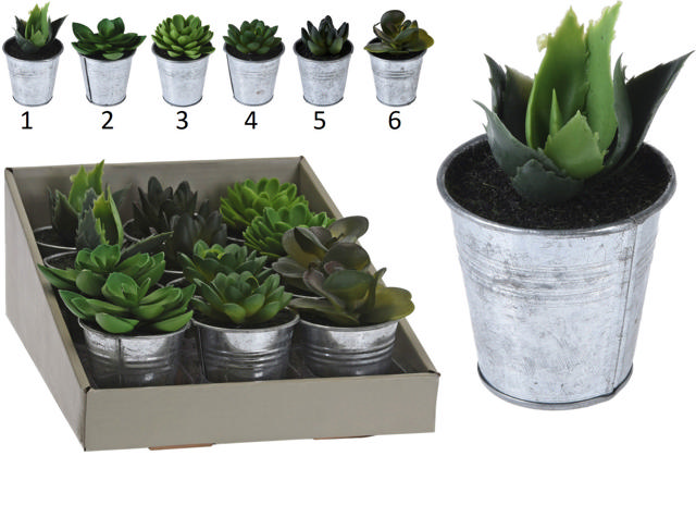 PLANT IN ZINC POT 6 ASSORTED DESIGNS