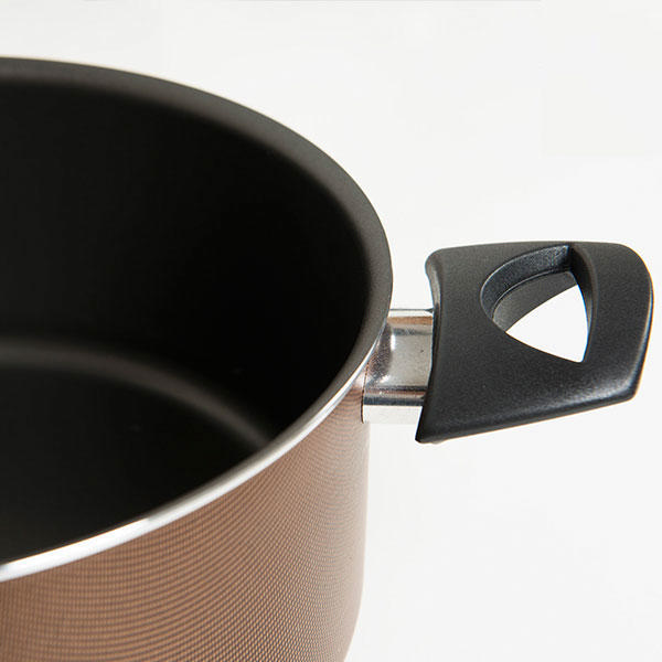 TVS REALE FRYPAN WΙΤΗ LID 24CM