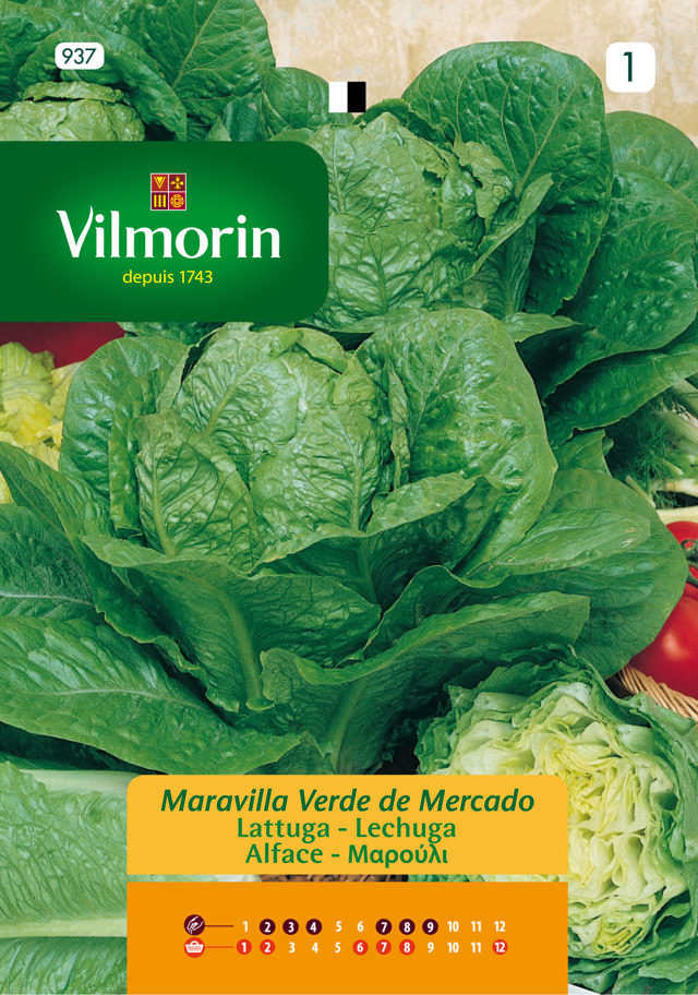 VILMORIN LETTUCE SEEDS 8GR