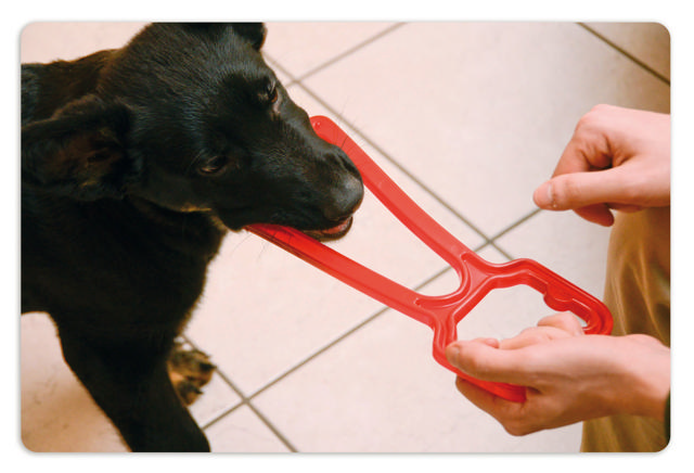 GEORPLAST BITING TOY WITH HANDLE