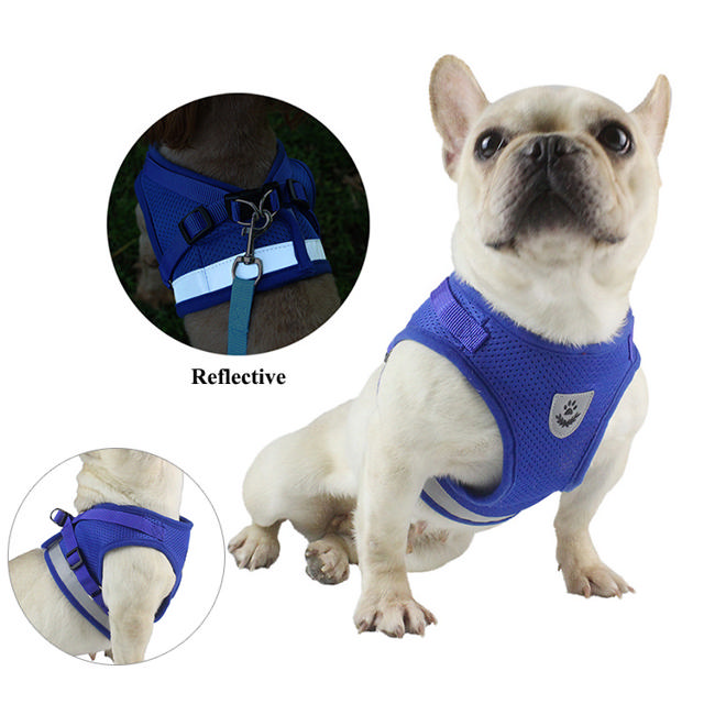 PS REFLECT HARNESS WΙΤΗ LEASH 120CM