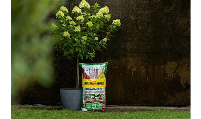 FLORAGARD UNIVERSAL SOIL 20L