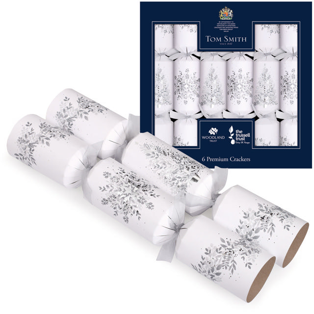 CHRISTMAS CRACKERS 14'' SILVER 6PCS