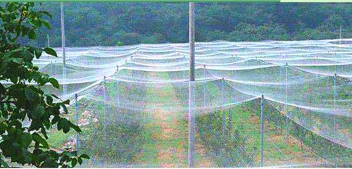 ANTI-BIRD PROTECT NET 4M X 10M