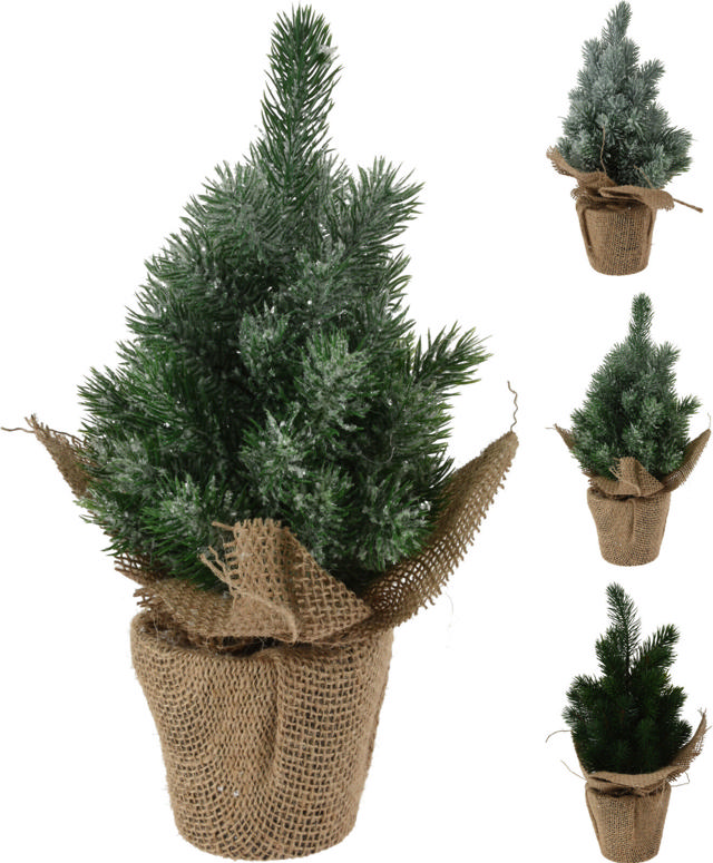 PINE TREE IN POT 30CM 3 ASSORTED DESIGNS