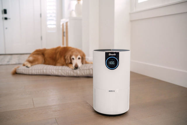 SHARK HP100EU AIR PURIFIER WITH TRUE HEPA