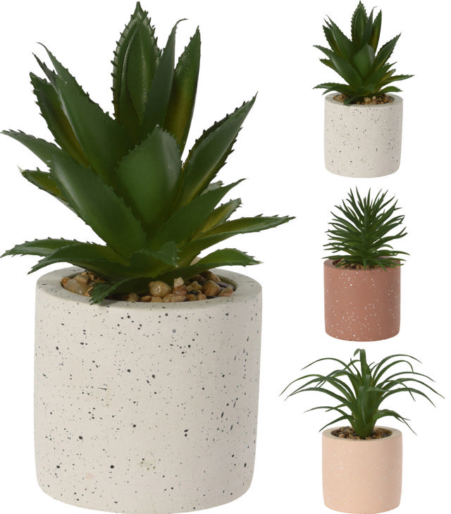 PLANT IN TERRAZZO POT 3 ΔΙΑΦΟΡΕΤΙΚΑ ΣΧΕΔΙΑ