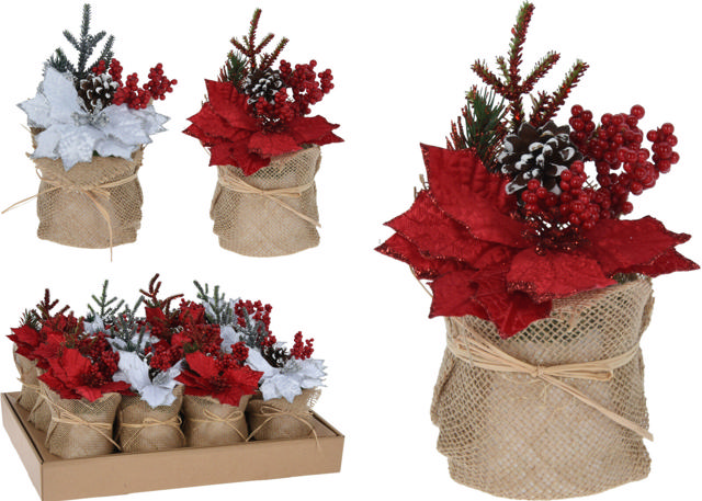 XMAS FLOWER IN POT 22CM 2 ASSORTED DESIGNS